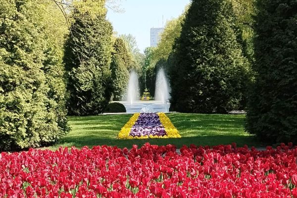 Park w Pałacu Branickich