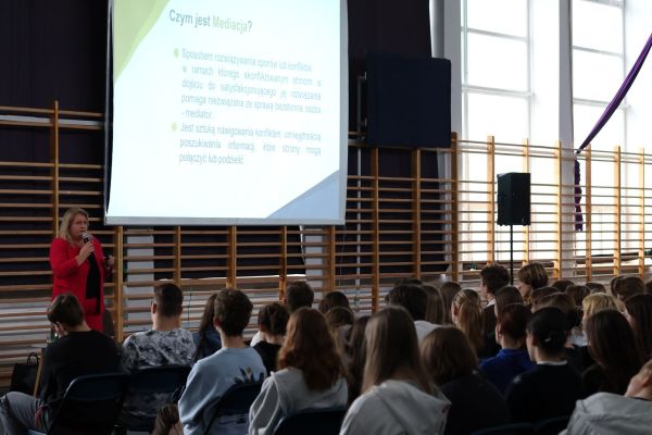 Mediacja szkolna i rówieśnicza