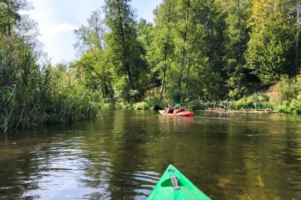 Wycieczka klas 3a i 3b - kliknięcie spowoduje powiększenie zdjęcia