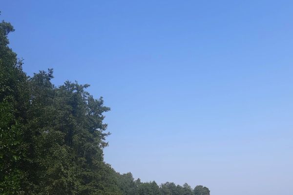 Wycieczka klas 3a i 3b - kliknięcie spowoduje powiększenie zdjęcia