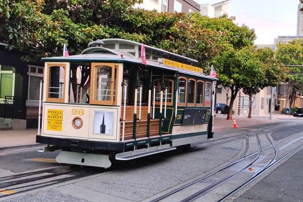 Queen Hedvig Scholarship 2024 - kliknięcie spowoduje powiększenie zdjęcia