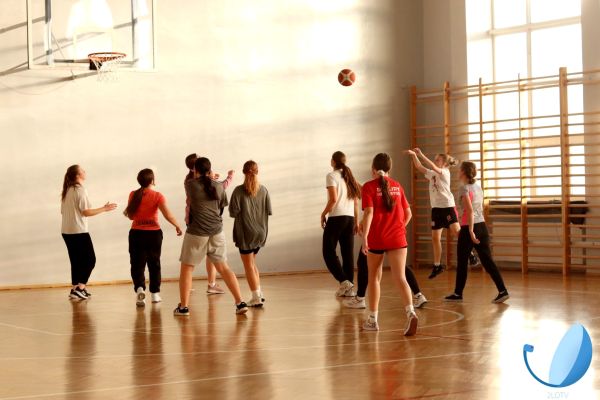 Kosz24 - kliknięcie spowoduje powiększenie zdjęcia