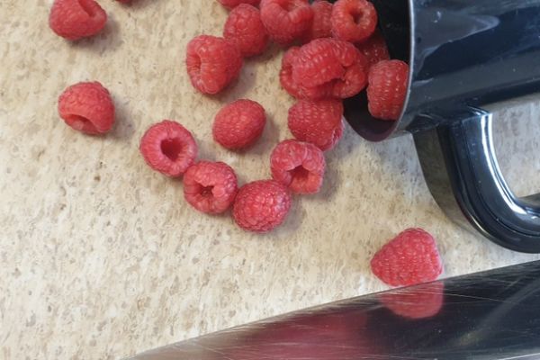 NPRCZ 2024 - Kl.1D -kliknięcie spowoduje powiększenie zdjęcia NPRCZ 2024 - Kl.1D