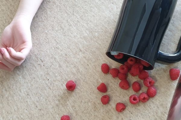 NPRCZ 2024 - Kl.1D -kliknięcie spowoduje powiększenie zdjęcia NPRCZ 2024 - Kl.1D