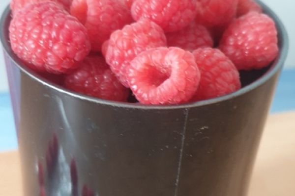 NPRCZ 2024 - Kl.1D - kliknięcie spowoduje powiększenie zdjęcia NPRCZ 2024 - Kl.1D