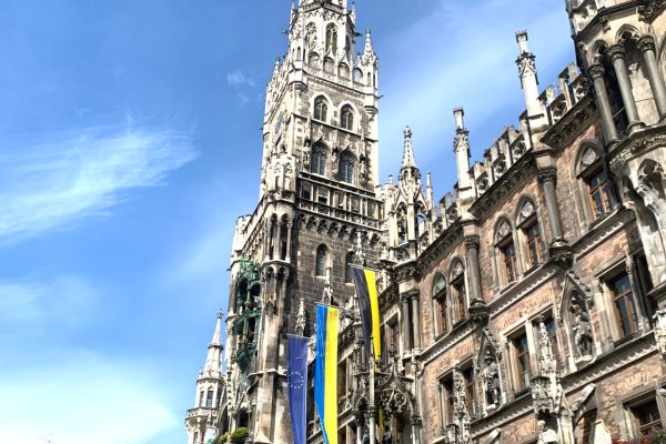 Lipski24 Lipski24 - kliknięcie spowoduje powiększenie zdjęcia