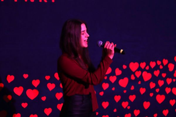 KoncertWalentynkowy2025