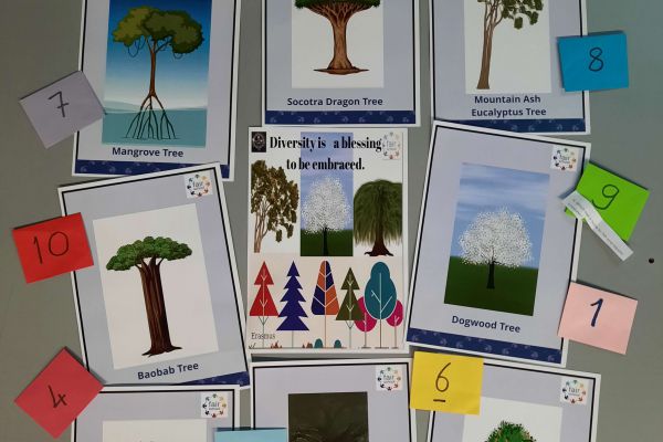 Prace plastyczne uczestników projektu