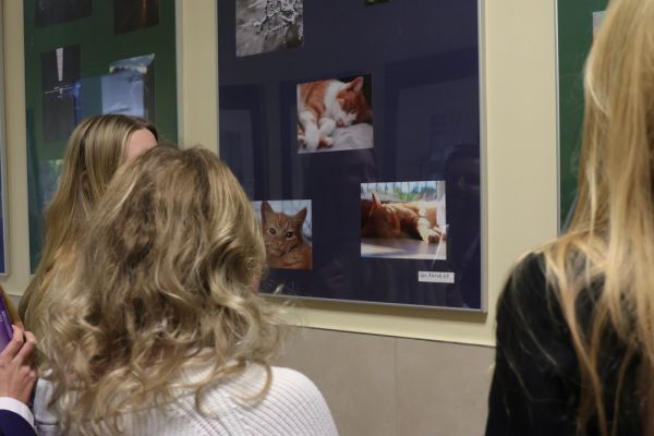 Szkolna Galeria Młodych Talentów 2025