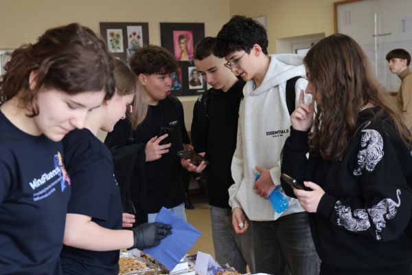 Kiermasz MindFluence 2026