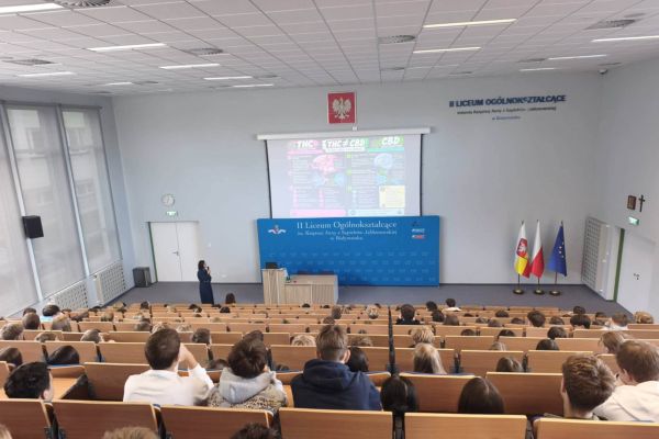 Mózg pod wpływem