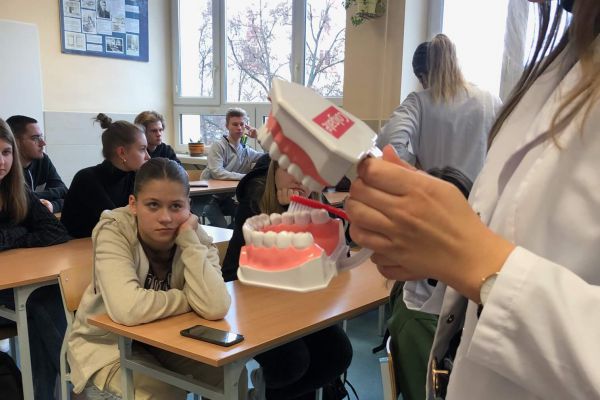 Uzębienie człowieka - makieta