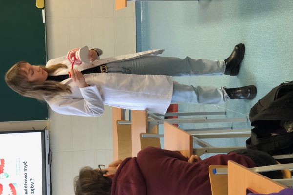 Uzębienie człowieka, omówienie poszczególnych zębów